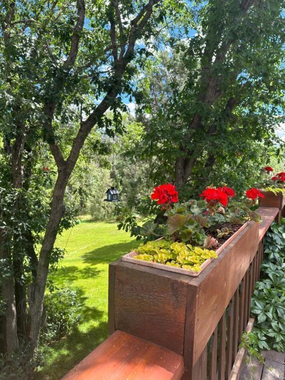 Country Sunshine Bed And Breakfast Hermosa Экстерьер фото