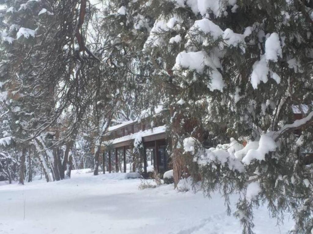 Country Sunshine Bed And Breakfast Hermosa Экстерьер фото